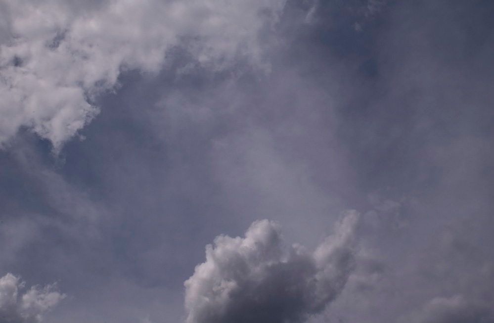 Botanical Clouds